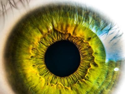 yale-new-haven-health-lifespan-more