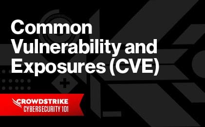 What Is CVE? Common Vulnerabilities & Exposures - HEAL Security Inc ...