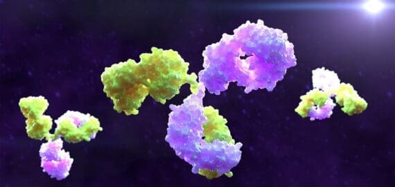 Novel bispecific antibodies show promise against evolving SARS-CoV-2 variants