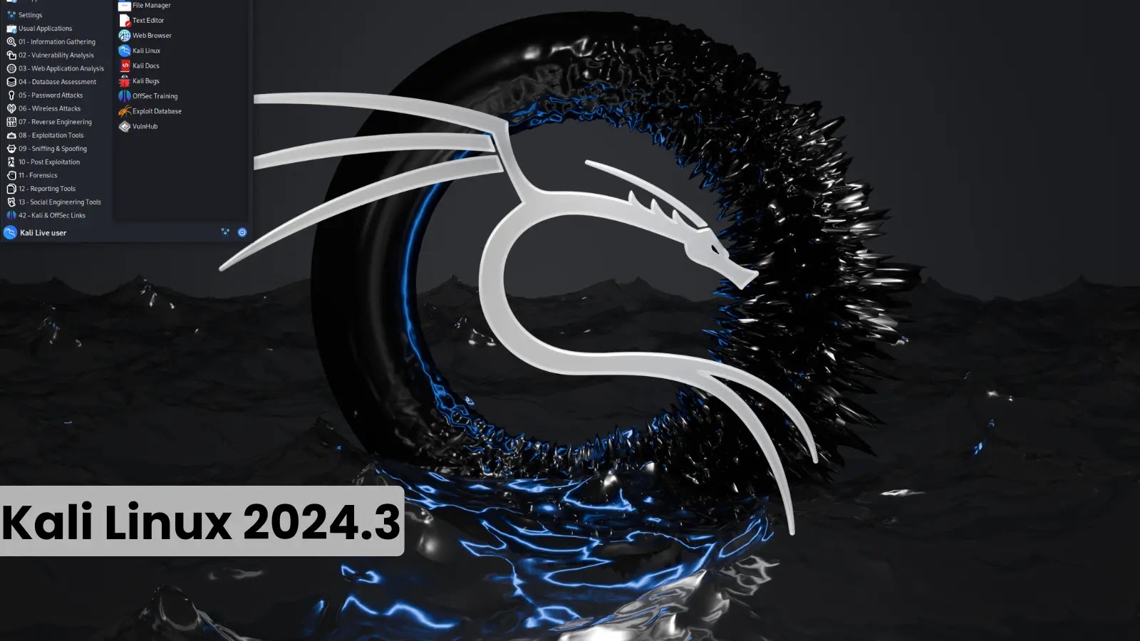Kali Linux 2024.3 Released With New Hacking Tools - HEAL Security Inc ...